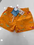 Costume condor dinosauri