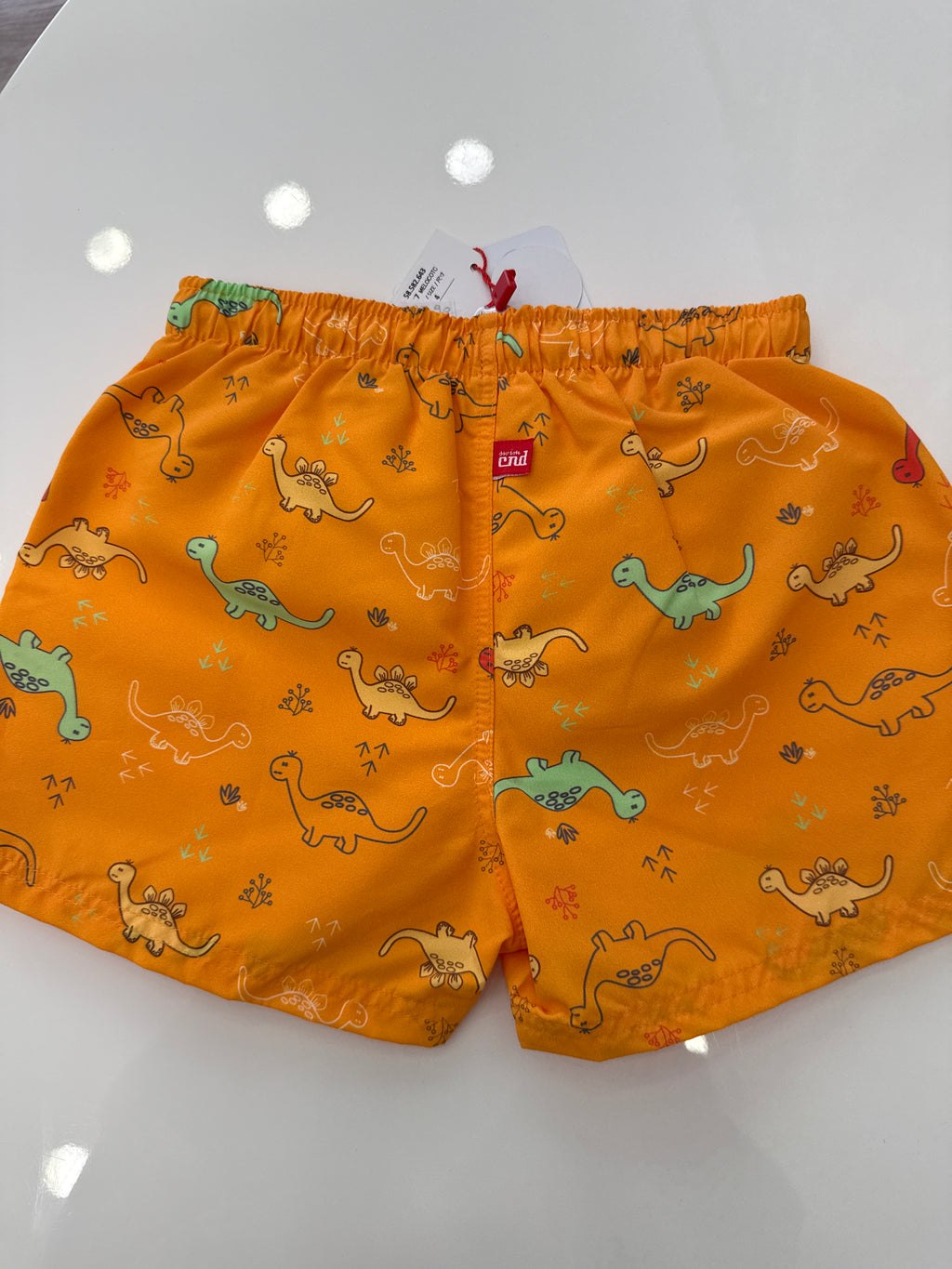 Costume condor dinosauri
